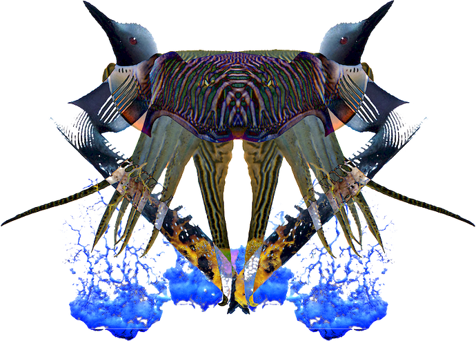 VSE_LOGO_realtransparancey_web