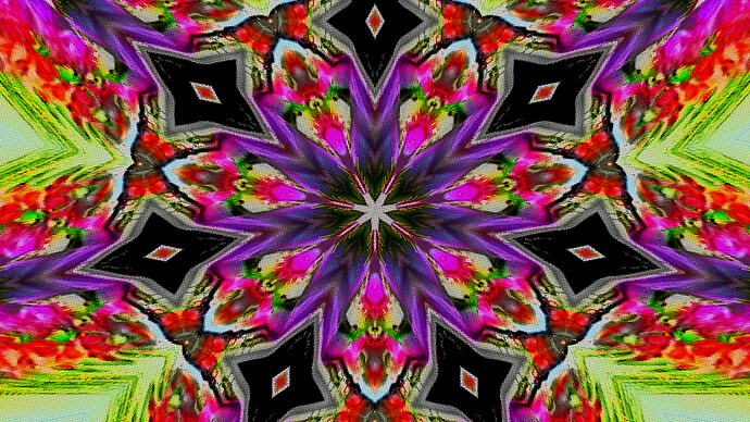 Sequence 01.00_05_33_21.Still024